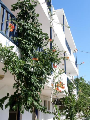 Aparthotel Bay Watch Karpathos Exteriér fotografie